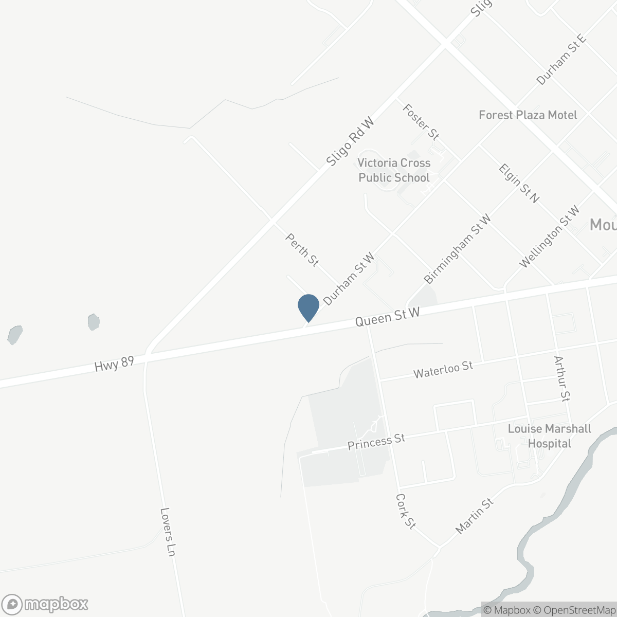 455 DURHAM STREET W, Mount Forest, Ontario N0G 2L1